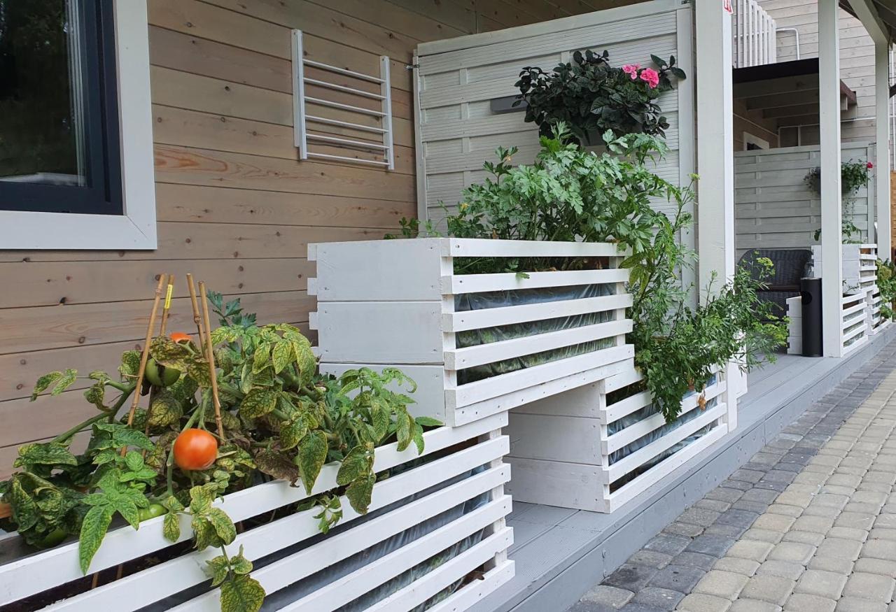 Apartamento Ekosfera Pilawa Borne Sulinowo Exterior foto