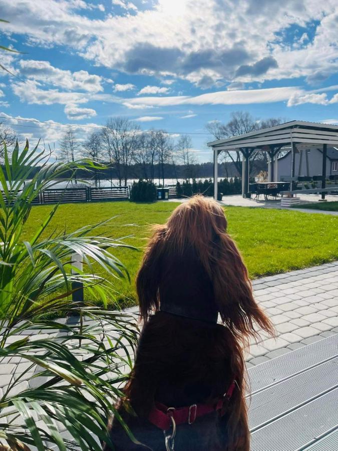 Apartamento Ekosfera Pilawa Borne Sulinowo Exterior foto