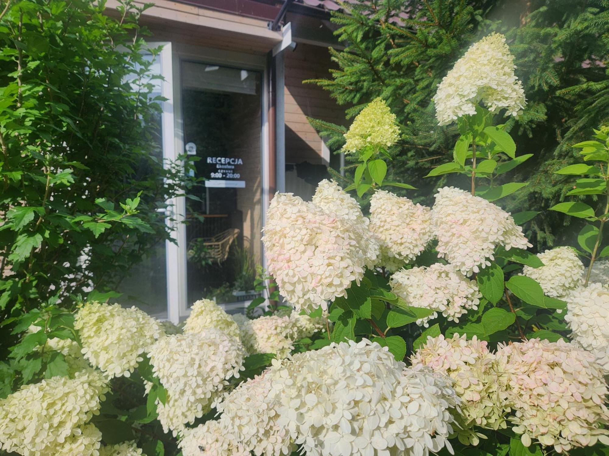 Apartamento Ekosfera Pilawa Borne Sulinowo Exterior foto
